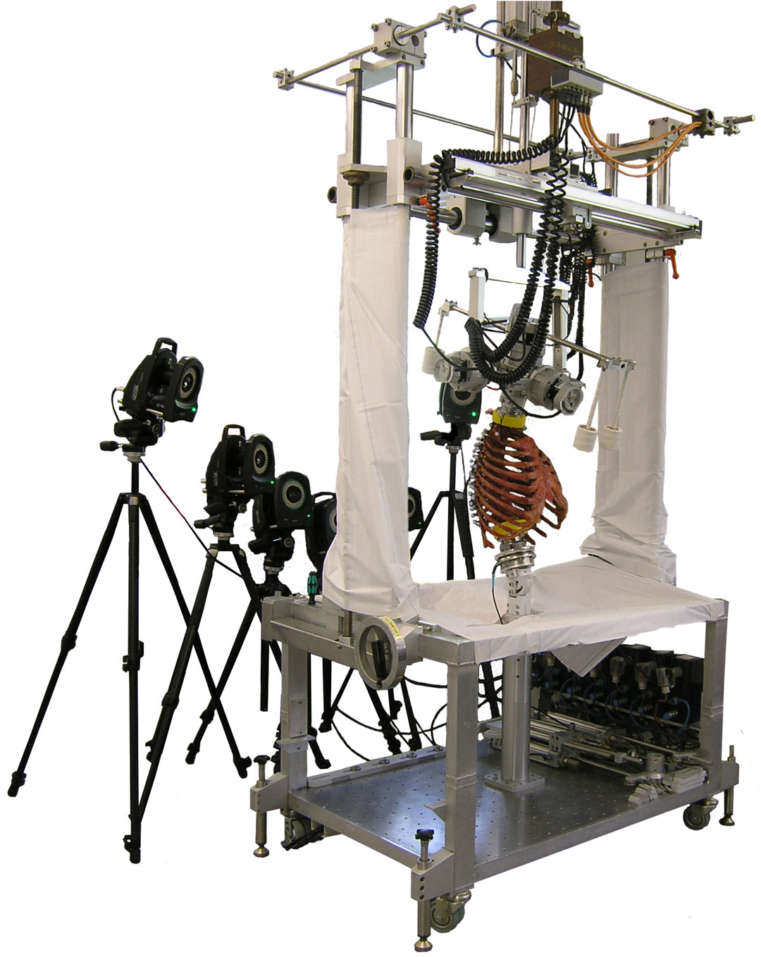 Human thorax in the experimental setup. Image from the article